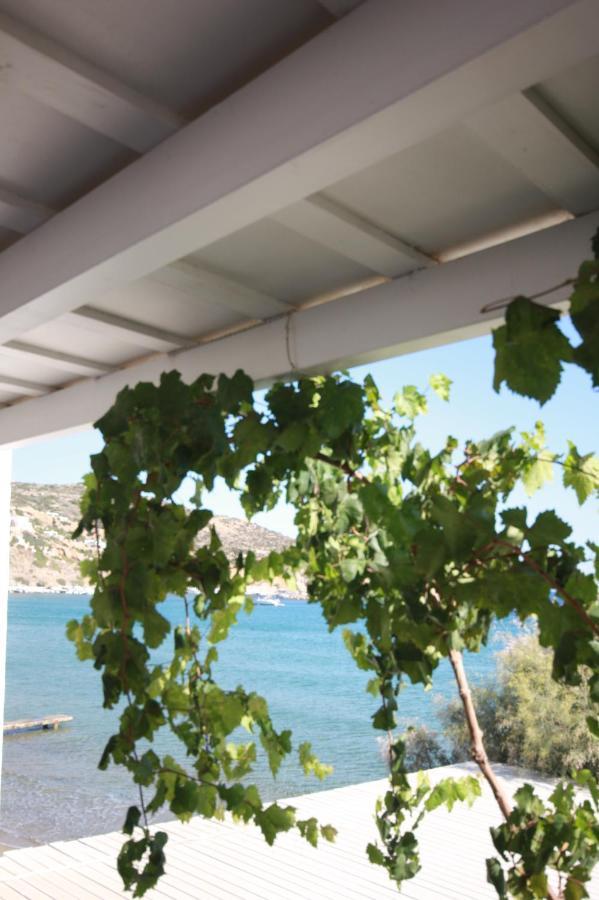 Cyclades Beach Apartments Chrisopigi  ภายนอก รูปภาพ